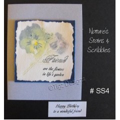Nature's Stains & Scribbles Greeting Cards - SS4